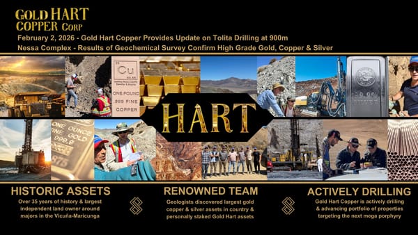 Gold Hart Copper Reports High-Grade Geochemical Results at Nessa and Provides Tolita Drilling Update